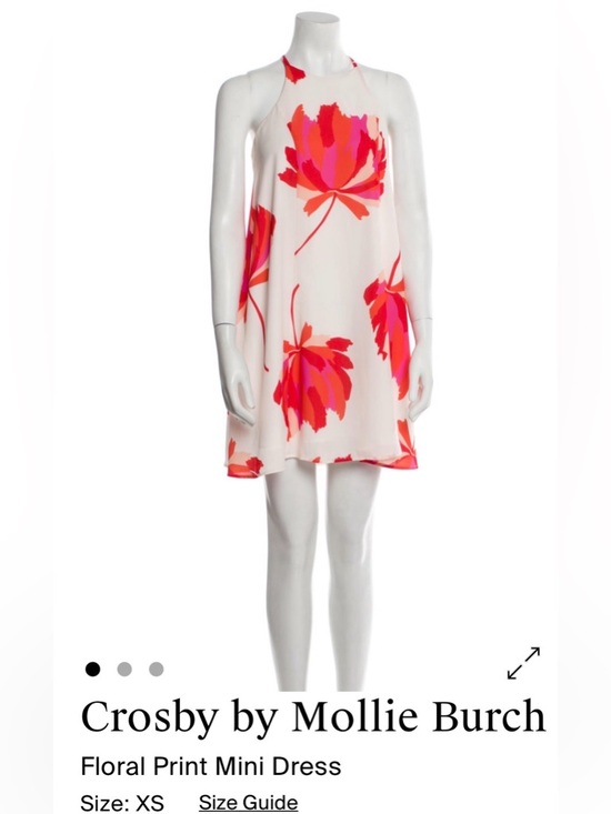 CROSBY by Mollie Burch Dresses & Skirts - CROSBY by Mollie Burch Cream Halter Mini Dress with Pink and Red Floral Print